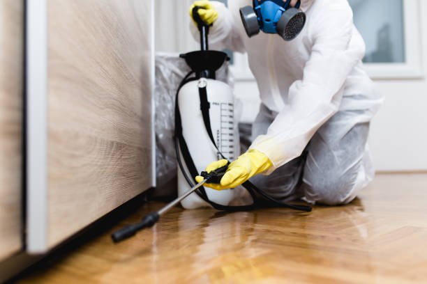 Best Cockroach Control Services  in Orinda, CA